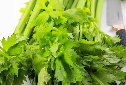 西洋芹生吃 西洋芹生吃