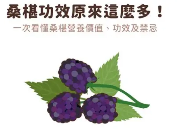 桑椹功效 桑椹功效