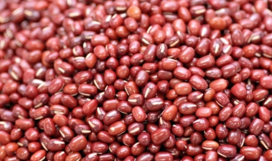 紅豆 禁忌