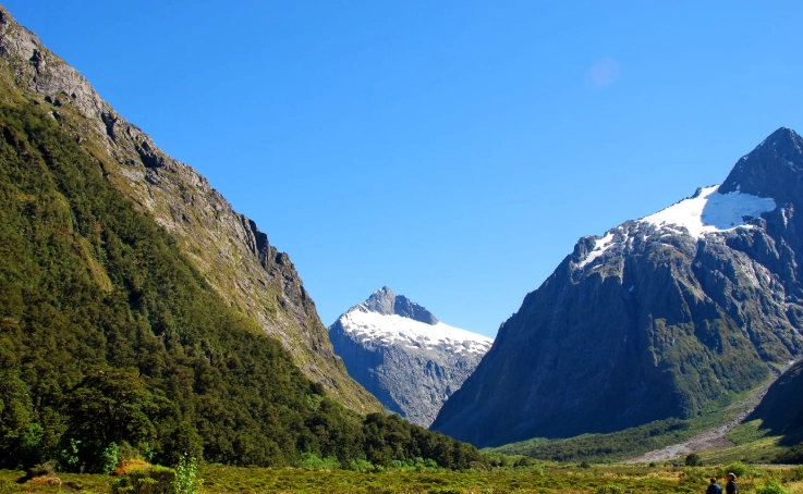 紐西蘭人口分布