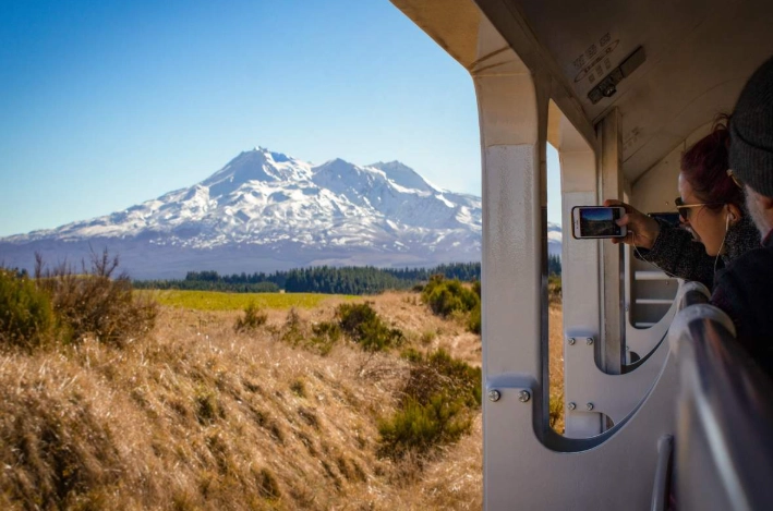 奧克蘭威靈頓旅行