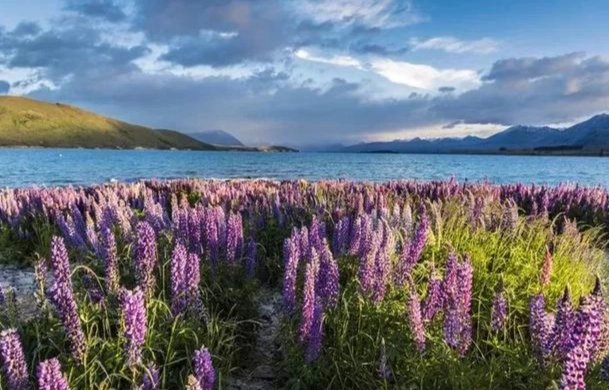 紐西蘭春天穿搭