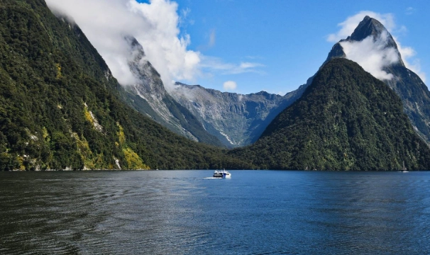紐西蘭海關申報