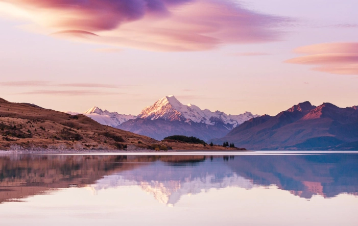 紐西蘭當地導遊