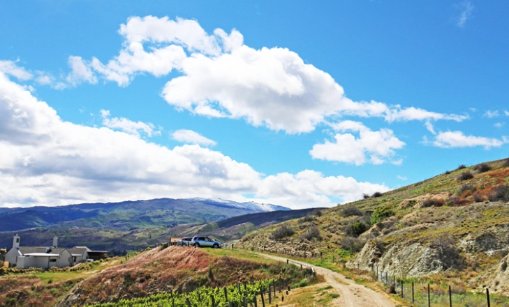 紐西蘭人口分布