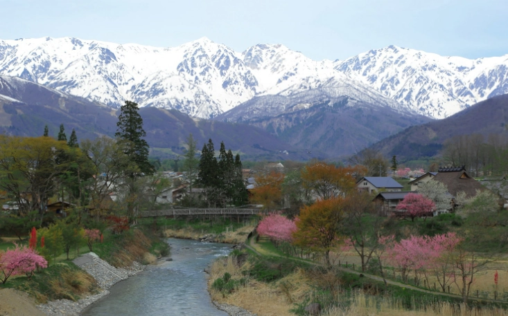 大出公園 交通方式