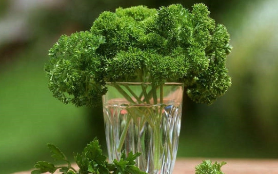 消水腫食物 消水腫食物