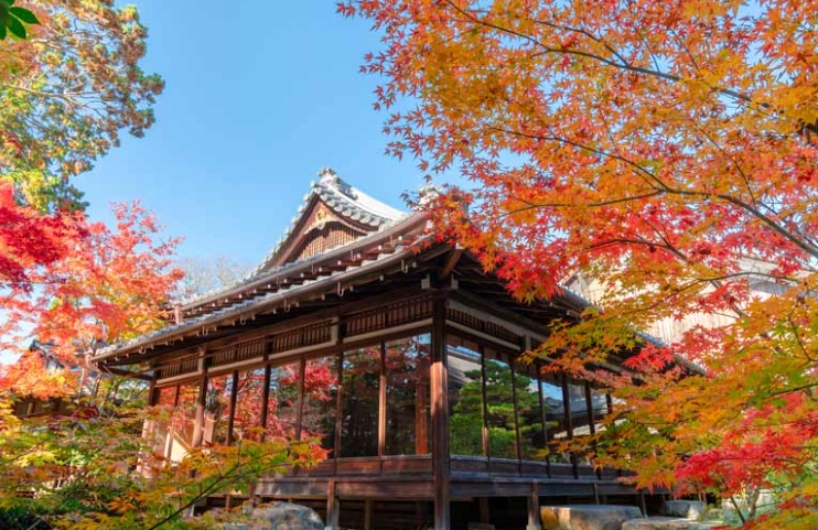 冬天旅遊南禪寺 冬天旅遊南禪寺