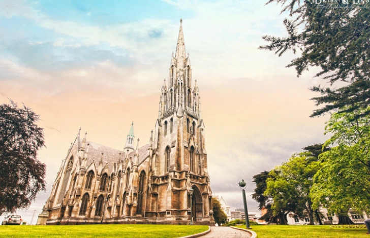 紐西蘭 國際駕照