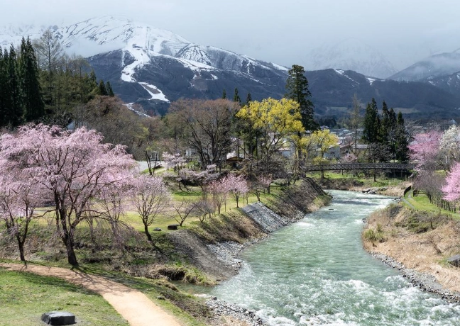 大出公園 公車路線
