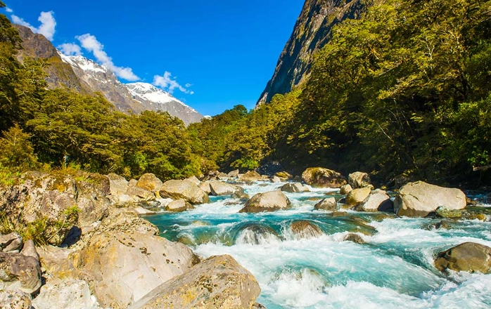 旅行物品申報 旅行物品申報