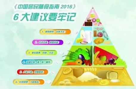 飲食平衡指南 飲食平衡指南
