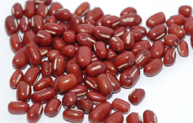 紅豆營養價值