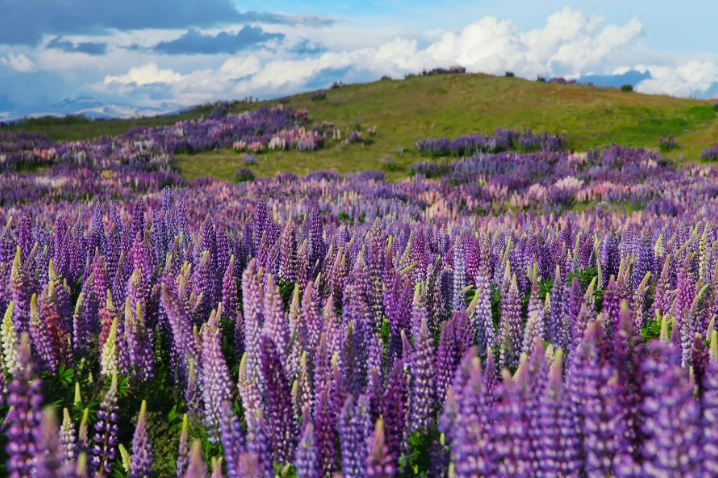 春天洋蔥式穿搭