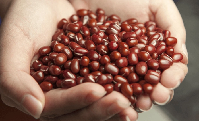 高鉀食物紅豆
