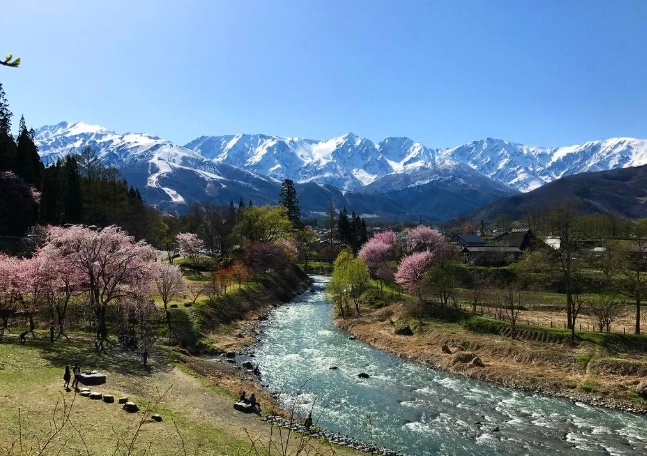 大出公園 公車路線