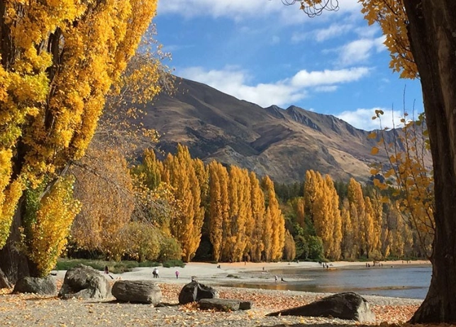 紐西蘭冬天活動