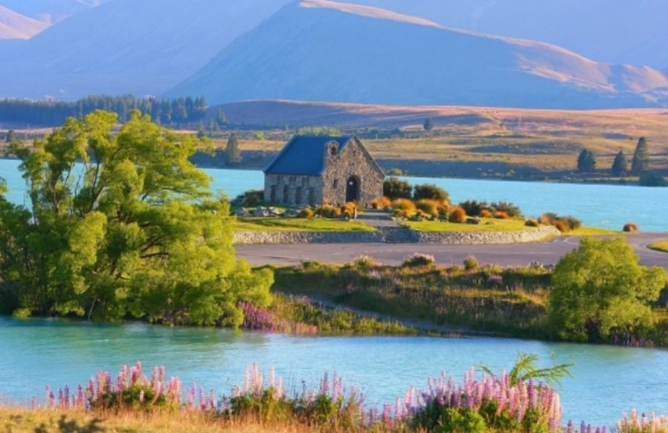 奧克蘭生活成本 奧克蘭生活成本