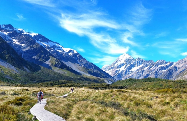 紐西蘭 國際駕照