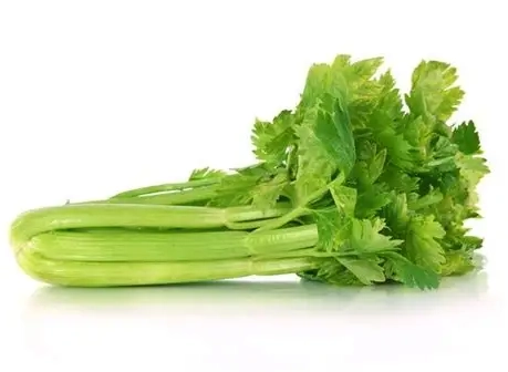 西芹營養成分