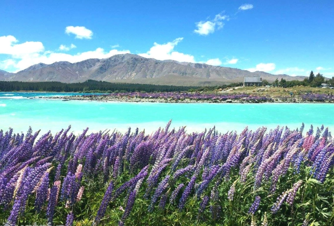 紐西蘭旅遊穿搭