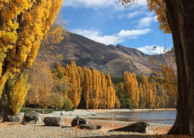 旅行物品申報 旅行物品申報