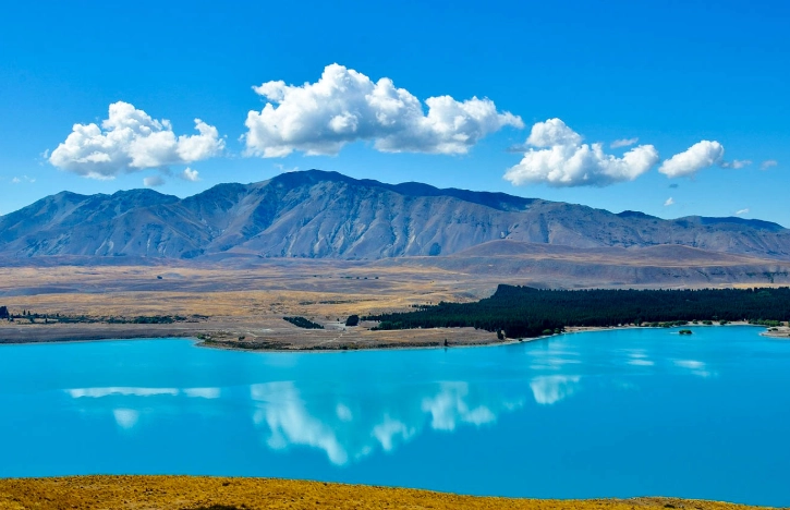 紐西蘭人口分布