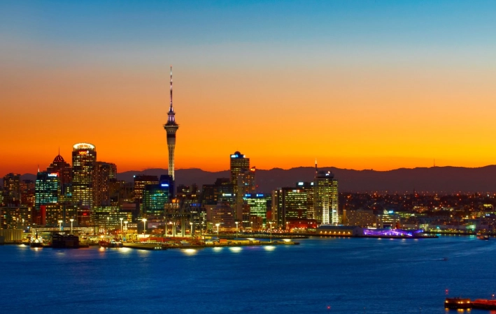 旅行物品申報 旅行物品申報