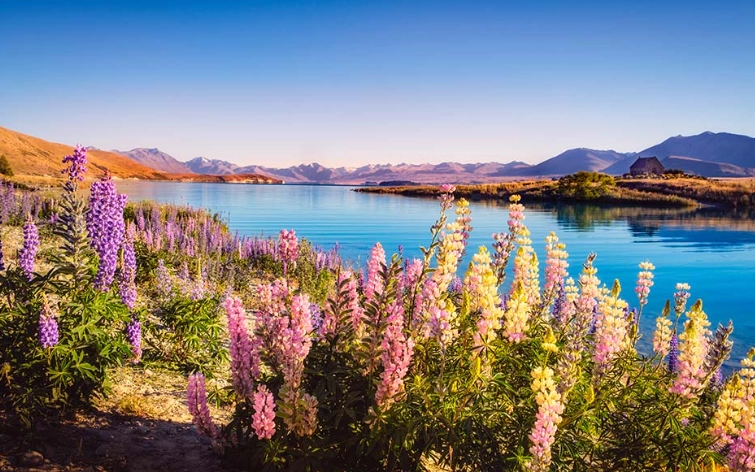 紐西蘭景點推薦