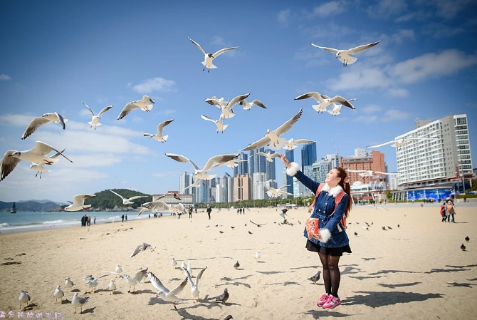 海雲台海岸列車