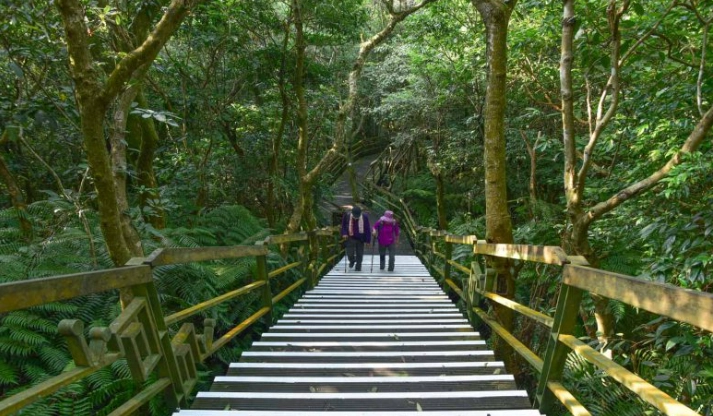 小溪頭環狀步道步行時間