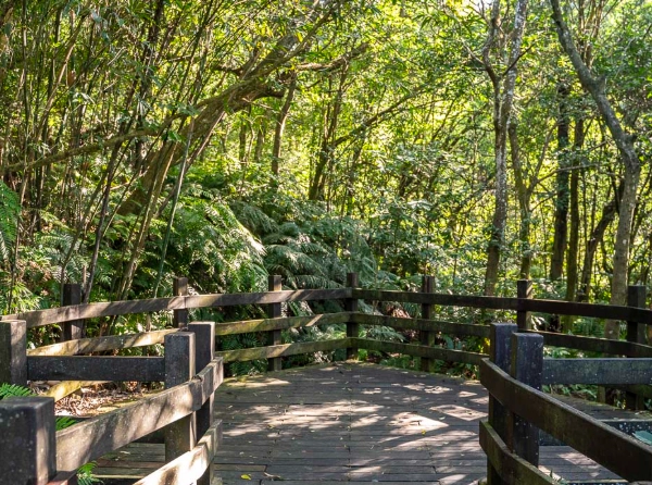 台北小溪頭交通
