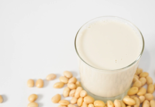 豆乳 豆漿 差異