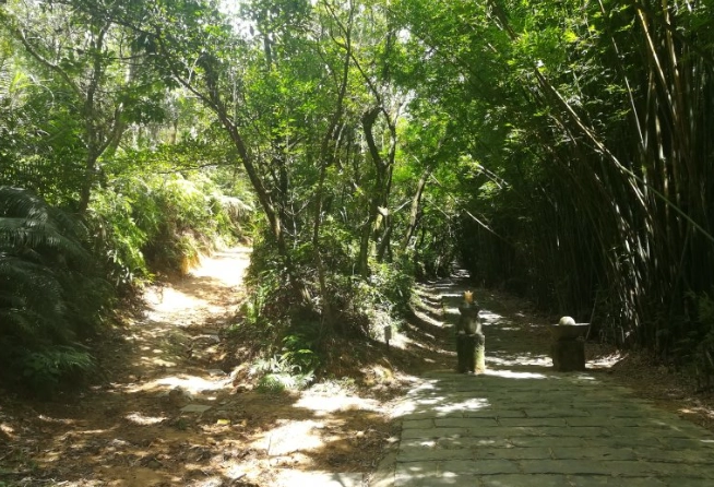 台北親山步道