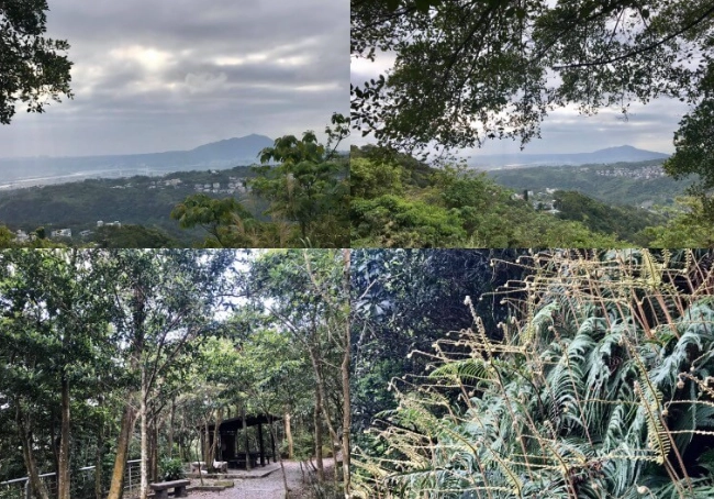 登山步道推薦 登山步道推薦