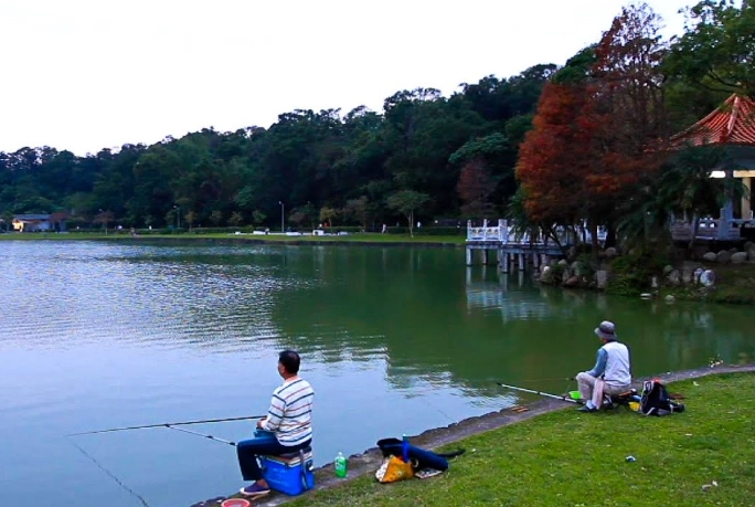 碧湖公園步道
