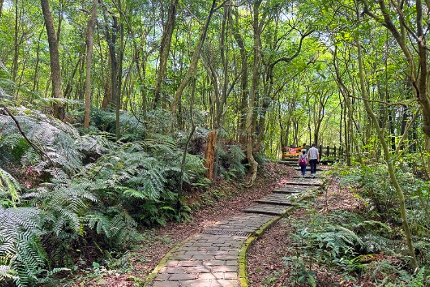台北小溪頭交通