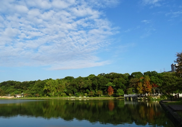 碧湖公園 行程規劃