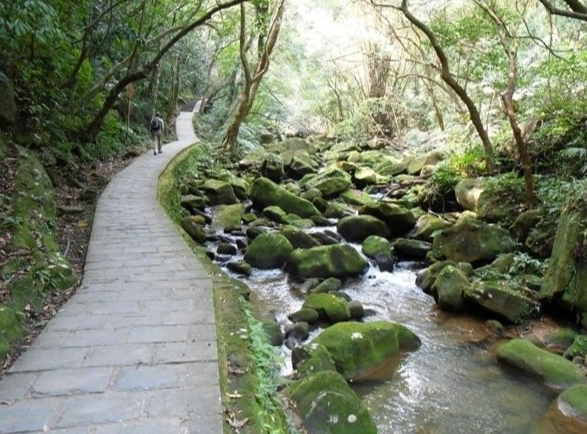 內湖親水步道 內湖親水步道