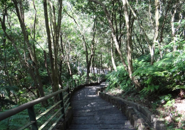 小溪頭環狀步道最佳時間