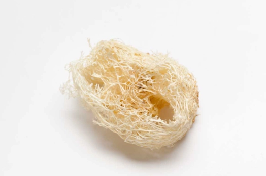 燕窩最佳食用時間