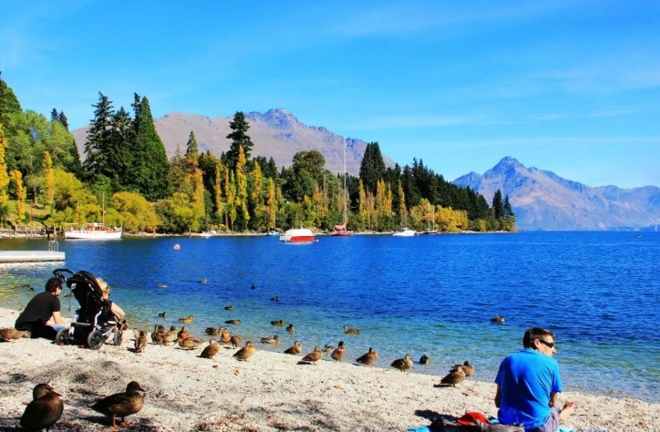 新西兰自由行攻略