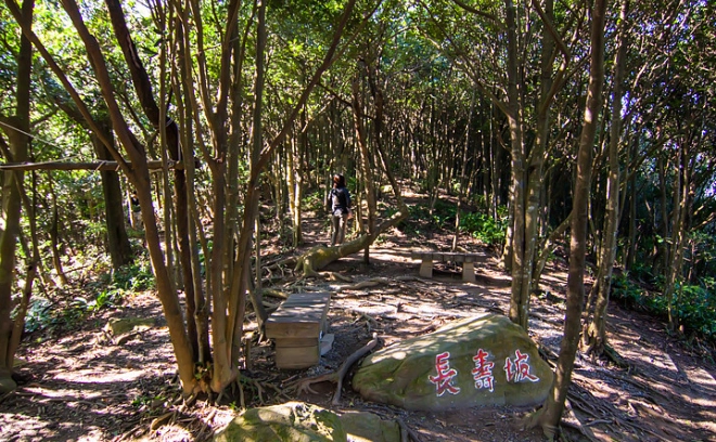 翠山步道 翠山步道
