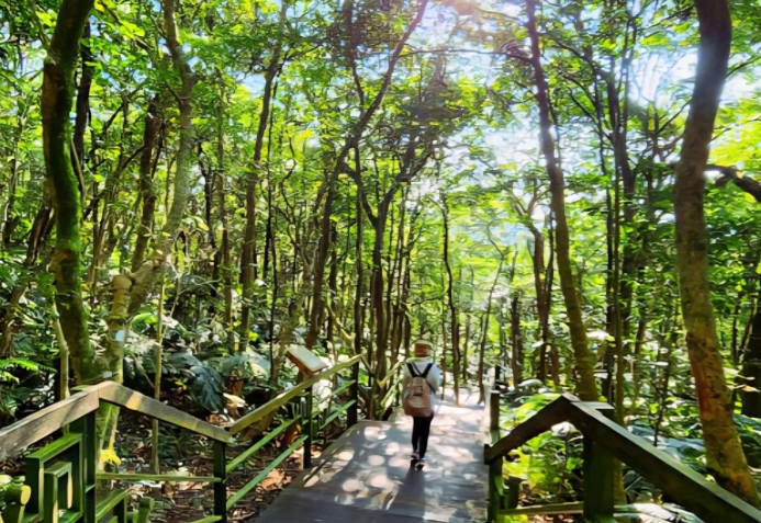 台北小溪頭步道