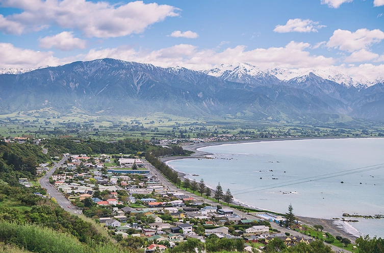 凱庫拉行程全攻略：觀鯨奇景、海豹探險與自然之旅完整規劃