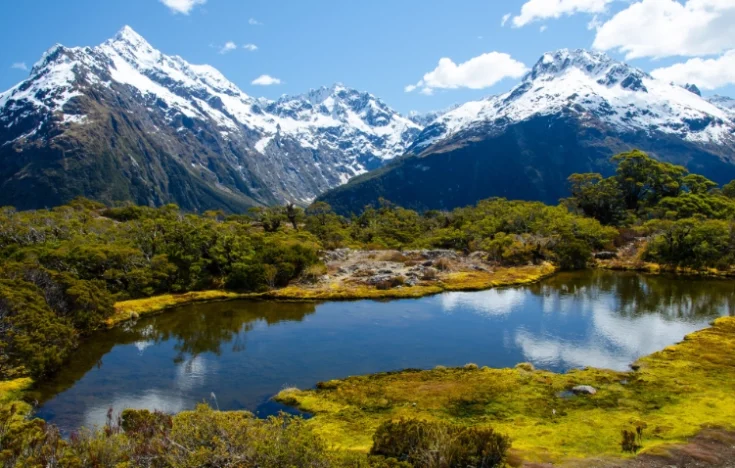 紐西蘭精緻旅遊