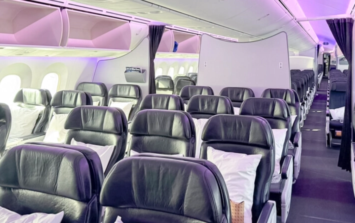 紐航 經濟艙 選位 紐航 經濟艙 選位