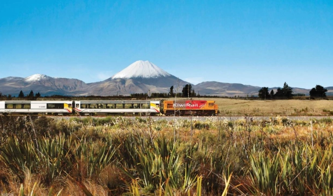 威靈頓公共交通 威靈頓公共交通