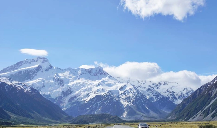 紐西蘭租車公司比較