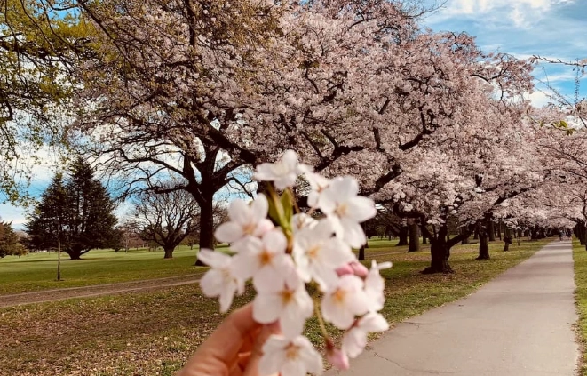 紐西蘭自由行預算